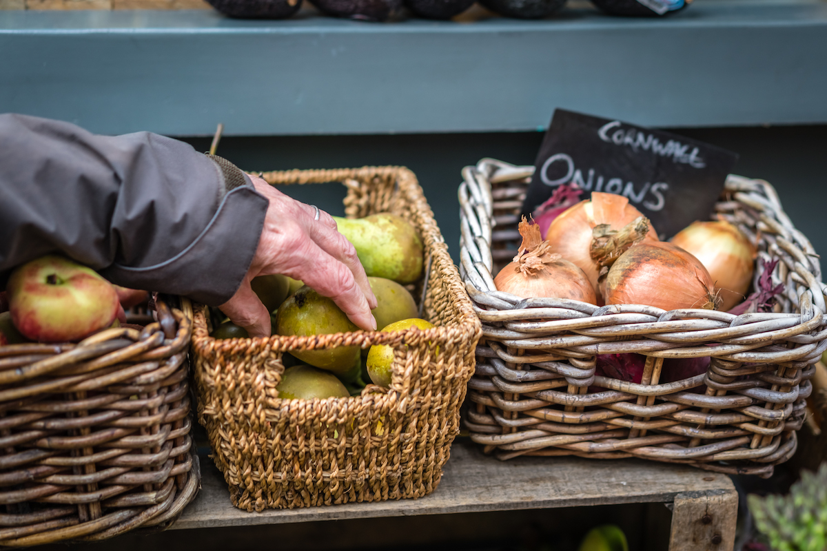 Elderly man picking up fresh fruits